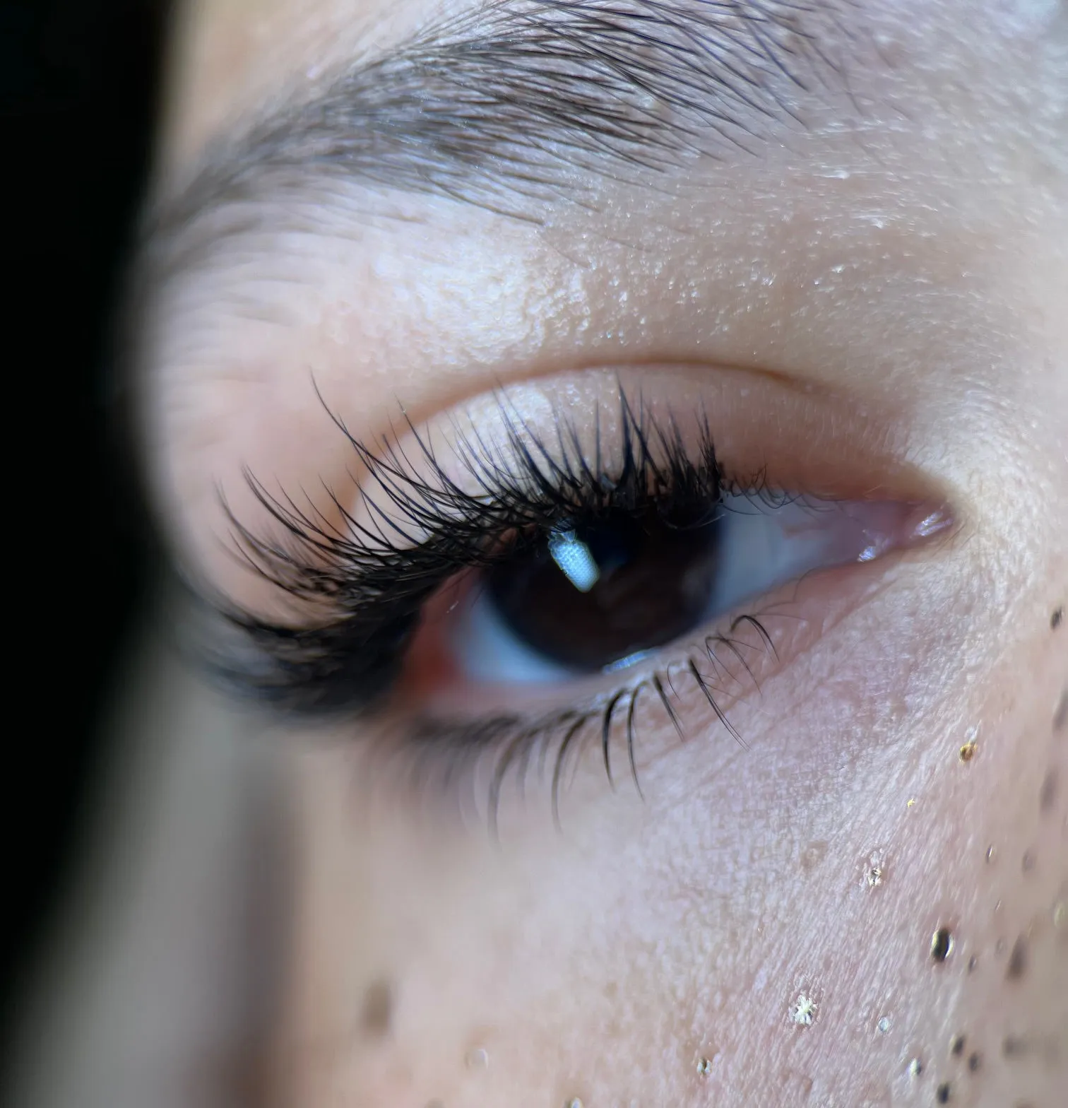 Dare To Do BOTTOM LASHES™ - The Ultimate Guide