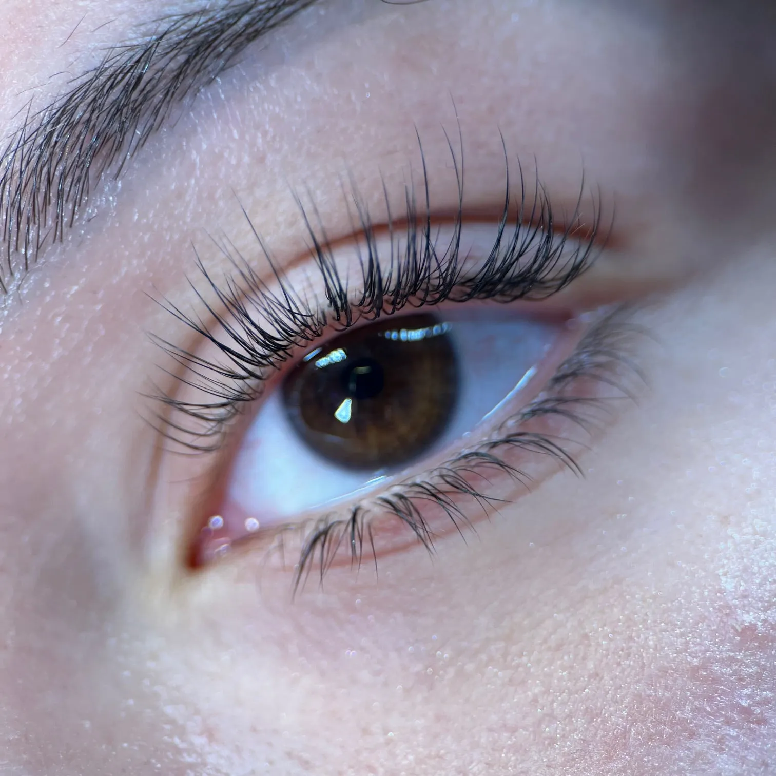 Dare To Do BOTTOM LASHES™ - The Ultimate Guide