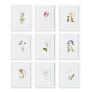 Mountain Flower Petite Prints, Set Of 9