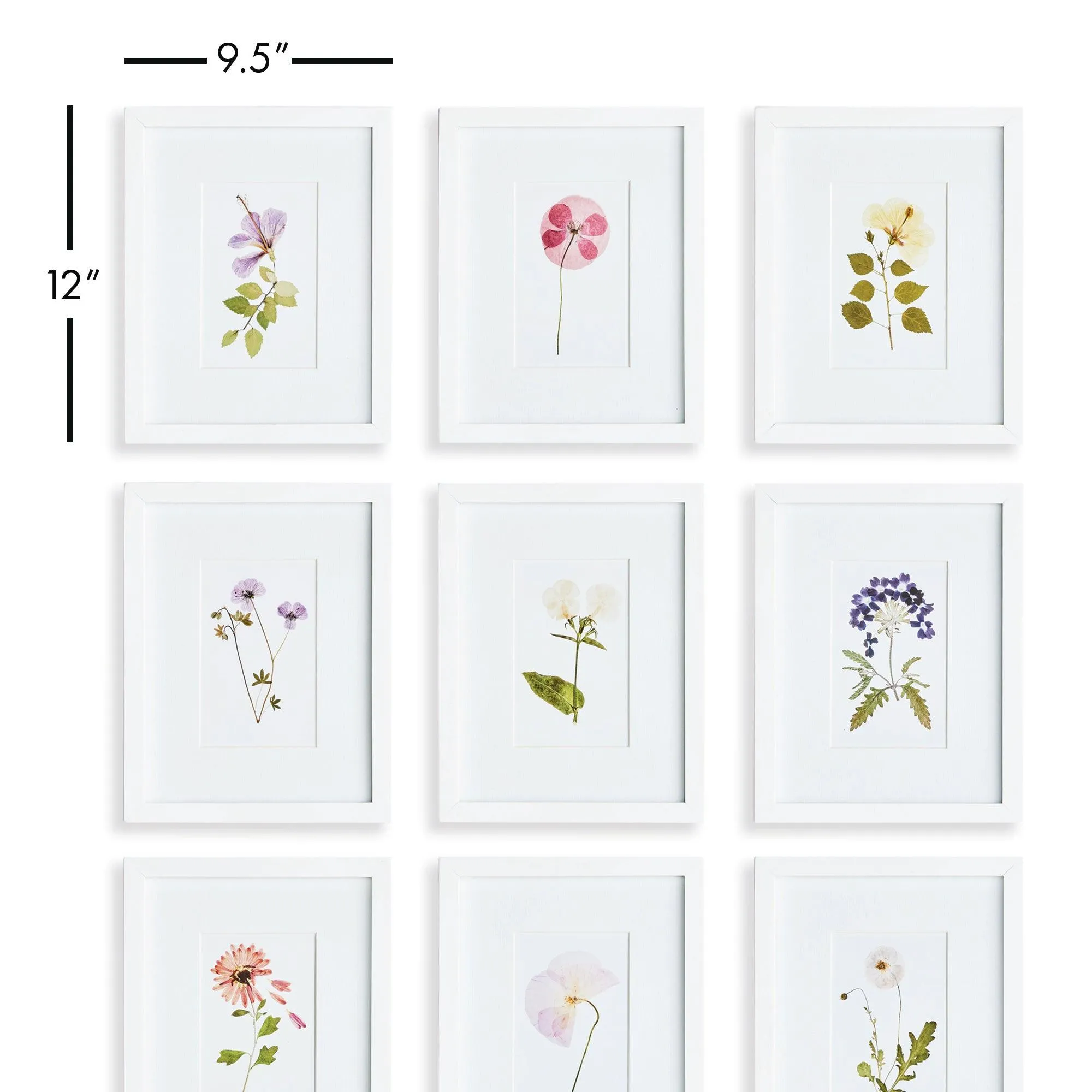 Mountain Flower Petite Prints, Set Of 9
