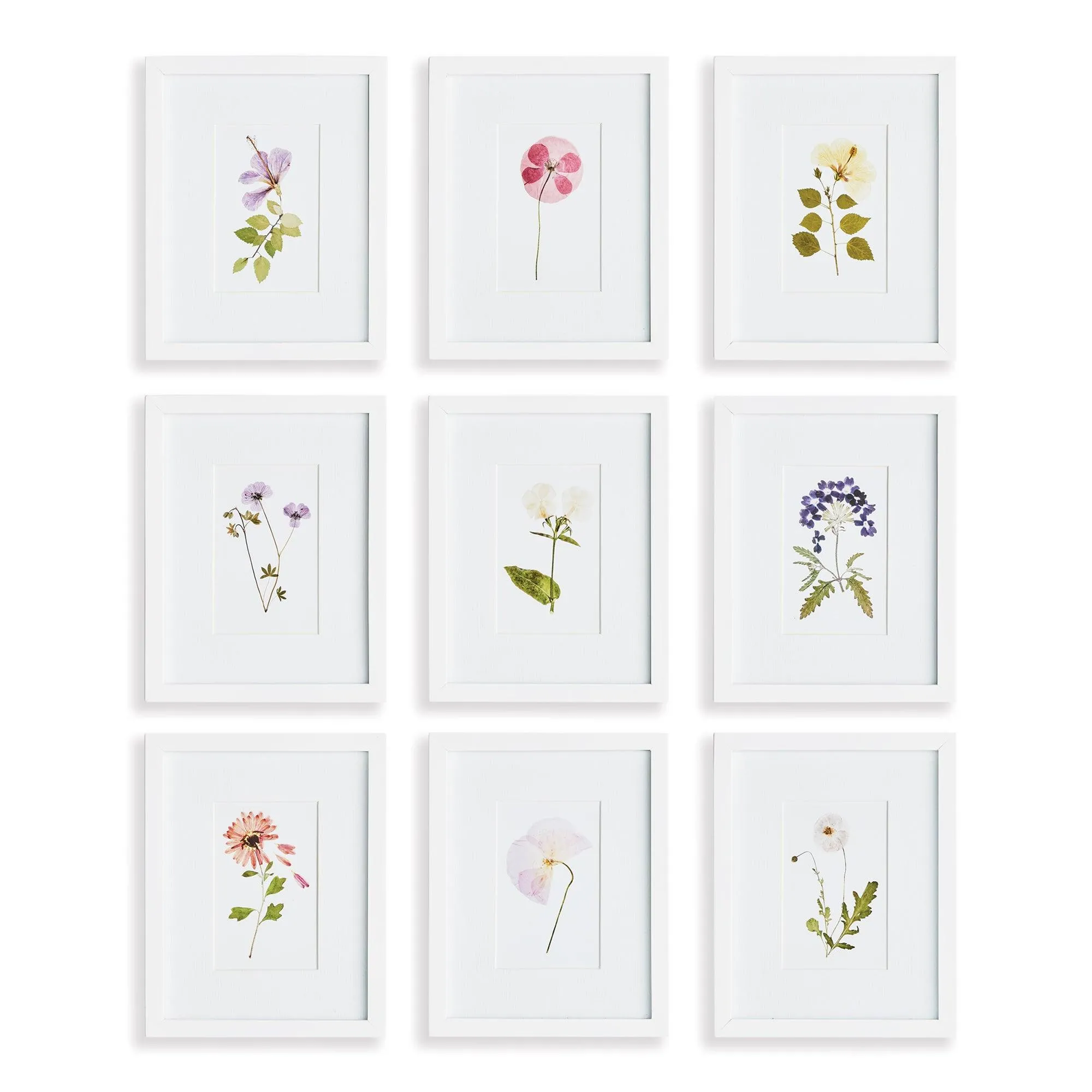Mountain Flower Petite Prints, Set Of 9