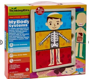 My Body Systems