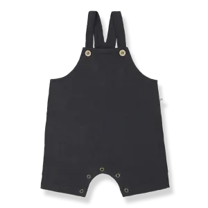 One More In The Family- ROCCO Overalls (anthracite)