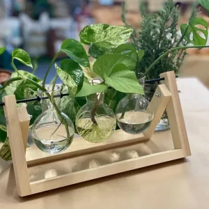 Propagation Station