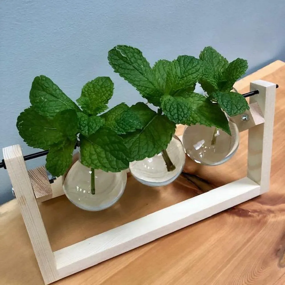 Propagation Station