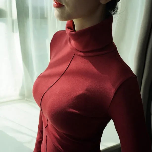 Skinny Winter Turtleneck Long Sleeve Women  Pullover