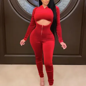 Solid Velvet Zipper Design Long Sleeve Hoodie Top & Overalls Set