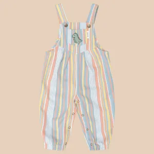 Vintage Stripe Overalls